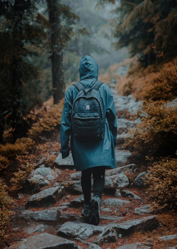 man walking in forest