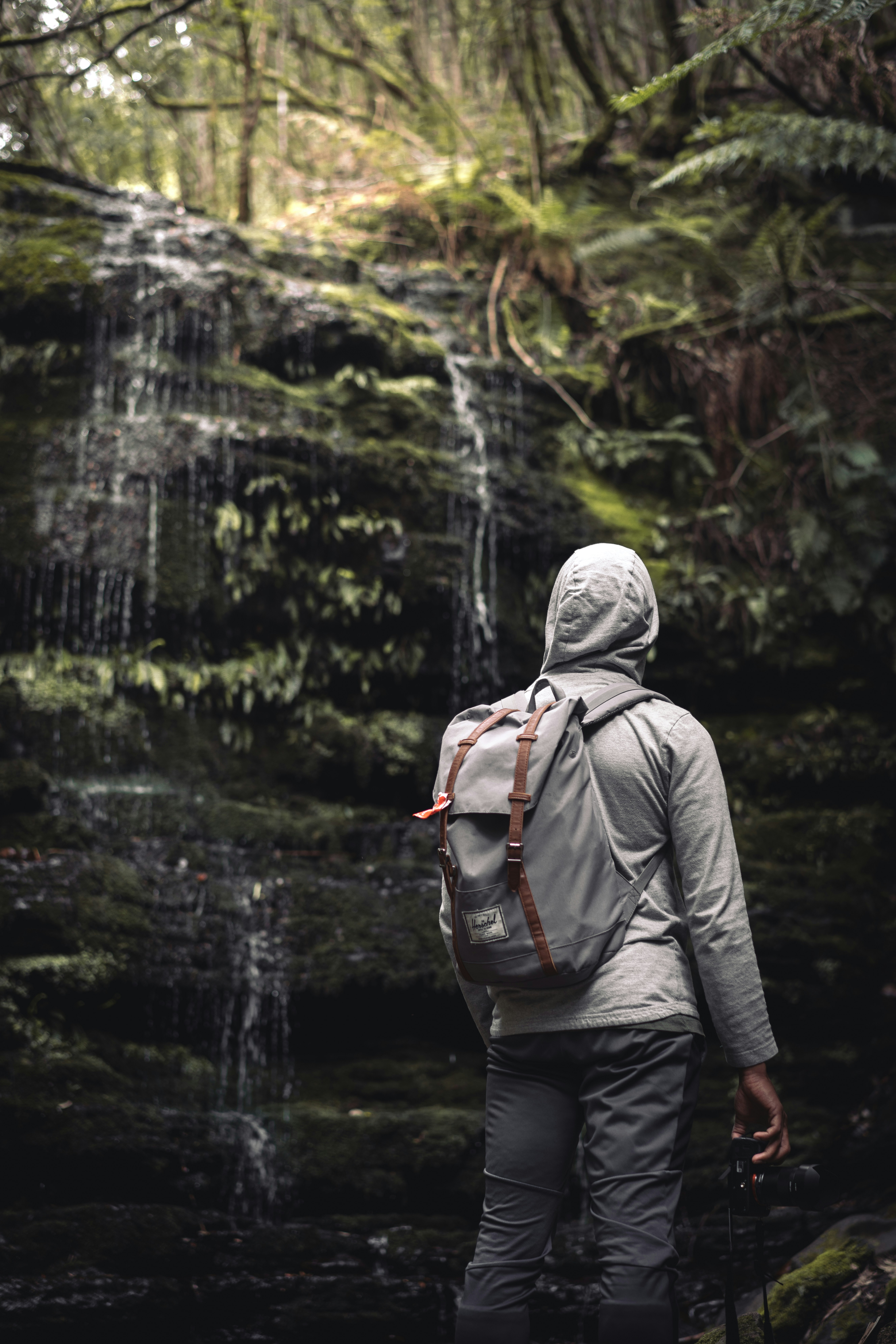 man in forest