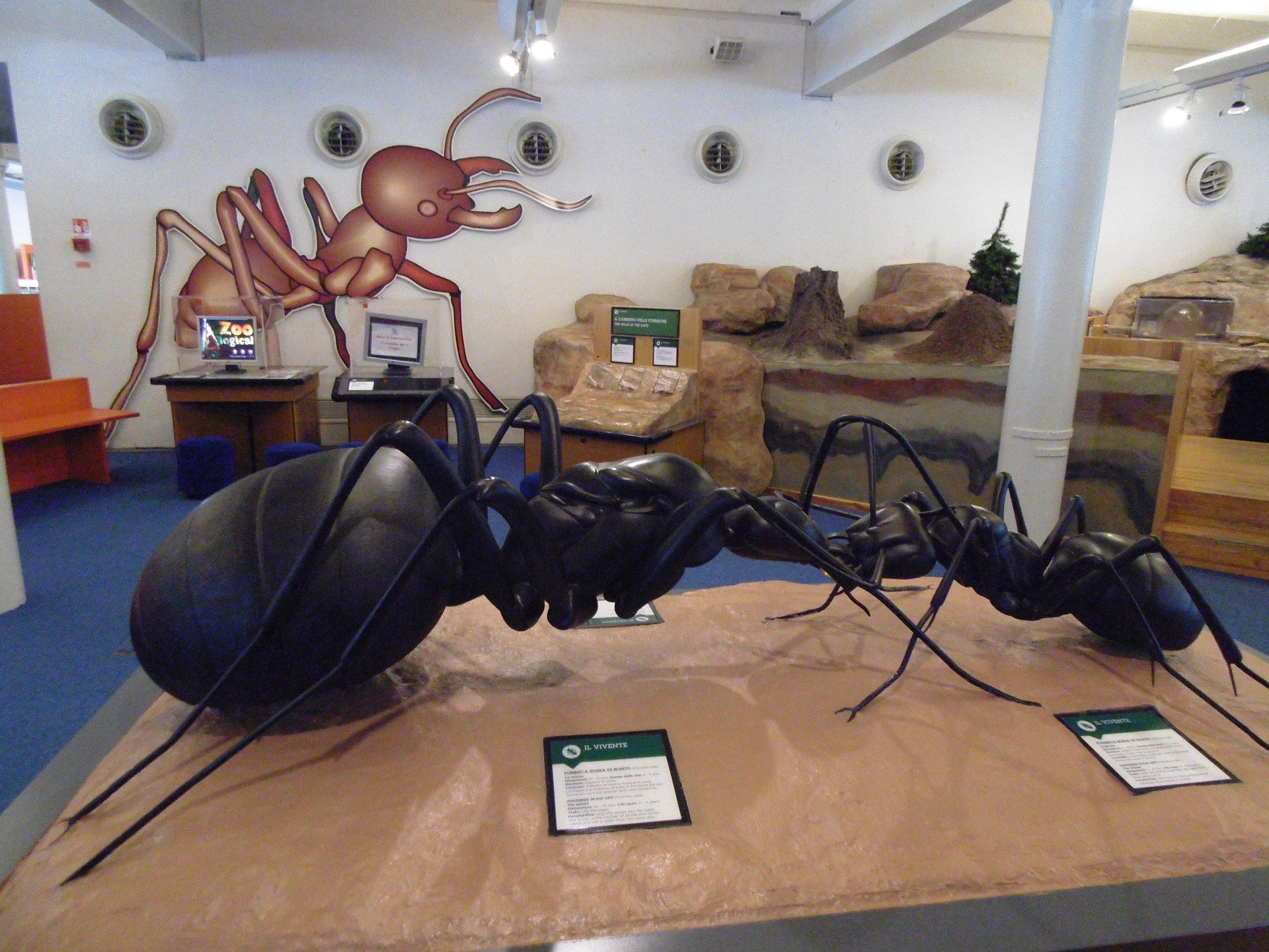 a model of an extinct, giant ant